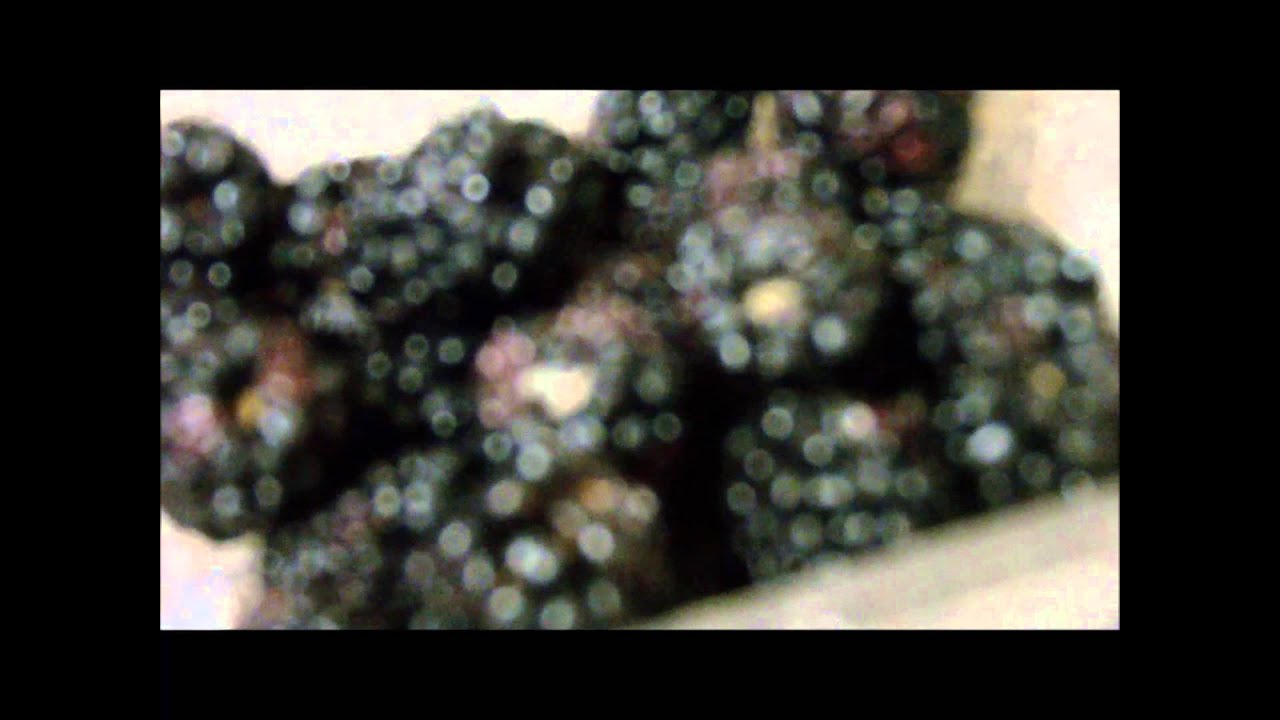 Nature Kleen Test Episode 7 YouTube