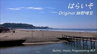 細野晴臣『はらいそ』(COVER) - YouTube