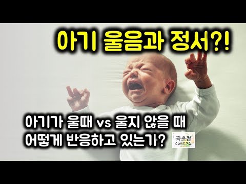 모유수유이유식 추천