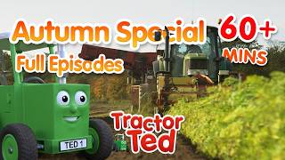 🍁 Tractor Ted’s Autumn Special!🍂 |Full Episode Compilation