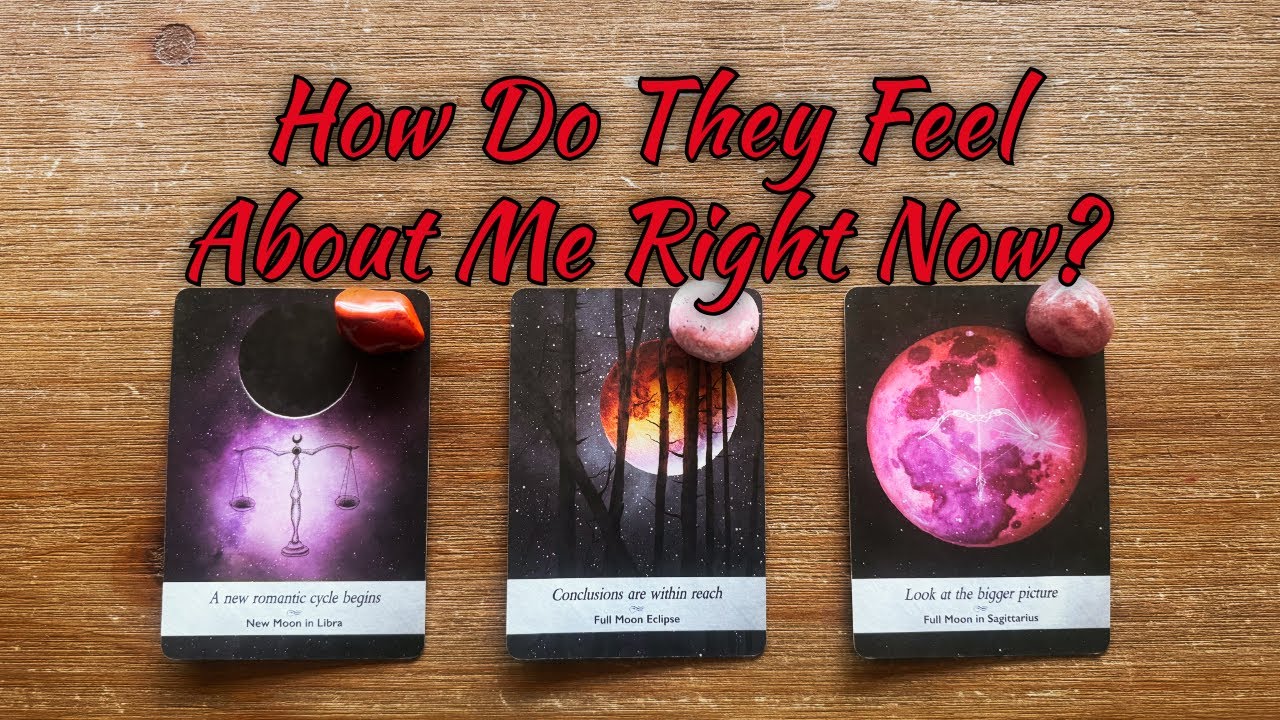 💕WHAT DOES HE/SHE THINK AND FEEL ABOUT ME RIGHT NOW?💕| 🔮Pick A Card🔮 | Love Tarot Reading (Timeless)