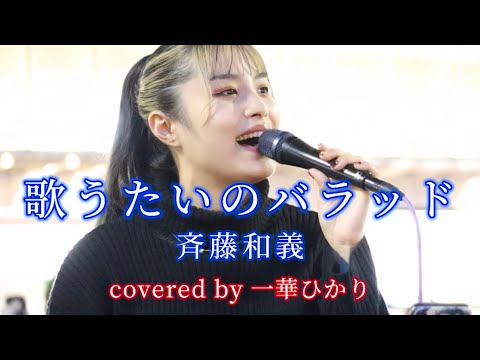 歌うたいのバラッド/斉藤和義 covered by《一華ひかり》 @ichikahikari