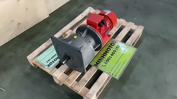 Motor 2.2kw BL  GVM động cơ mầu đỏ  hộp số mặt bích giảm tốc trục thẳng , 0901460163 MINHMOTOR