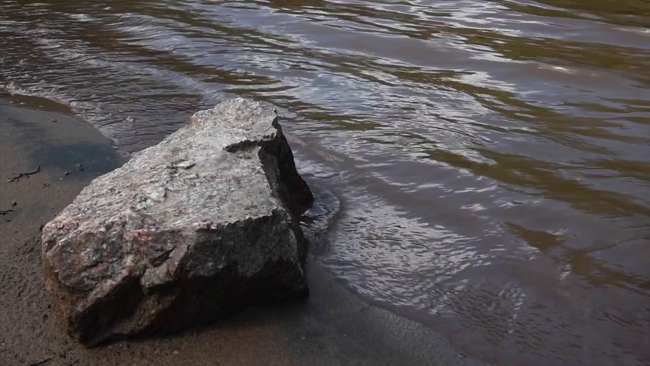 LIVING HISTORY The People