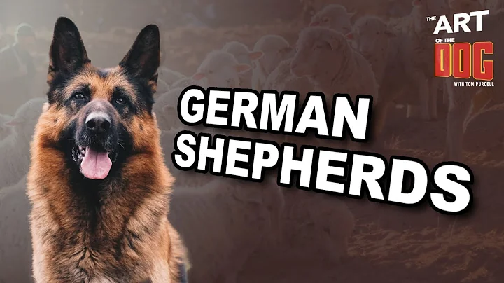 The Art of the Dog - Episode 3 - German Shepherds ...