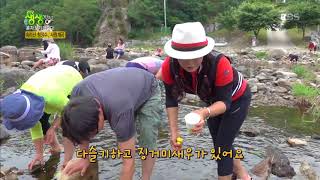 2tv 생생정보 - 속리산 청정수, 서원계곡 바닥히 휜히 보이는 맑은 물!.20180705