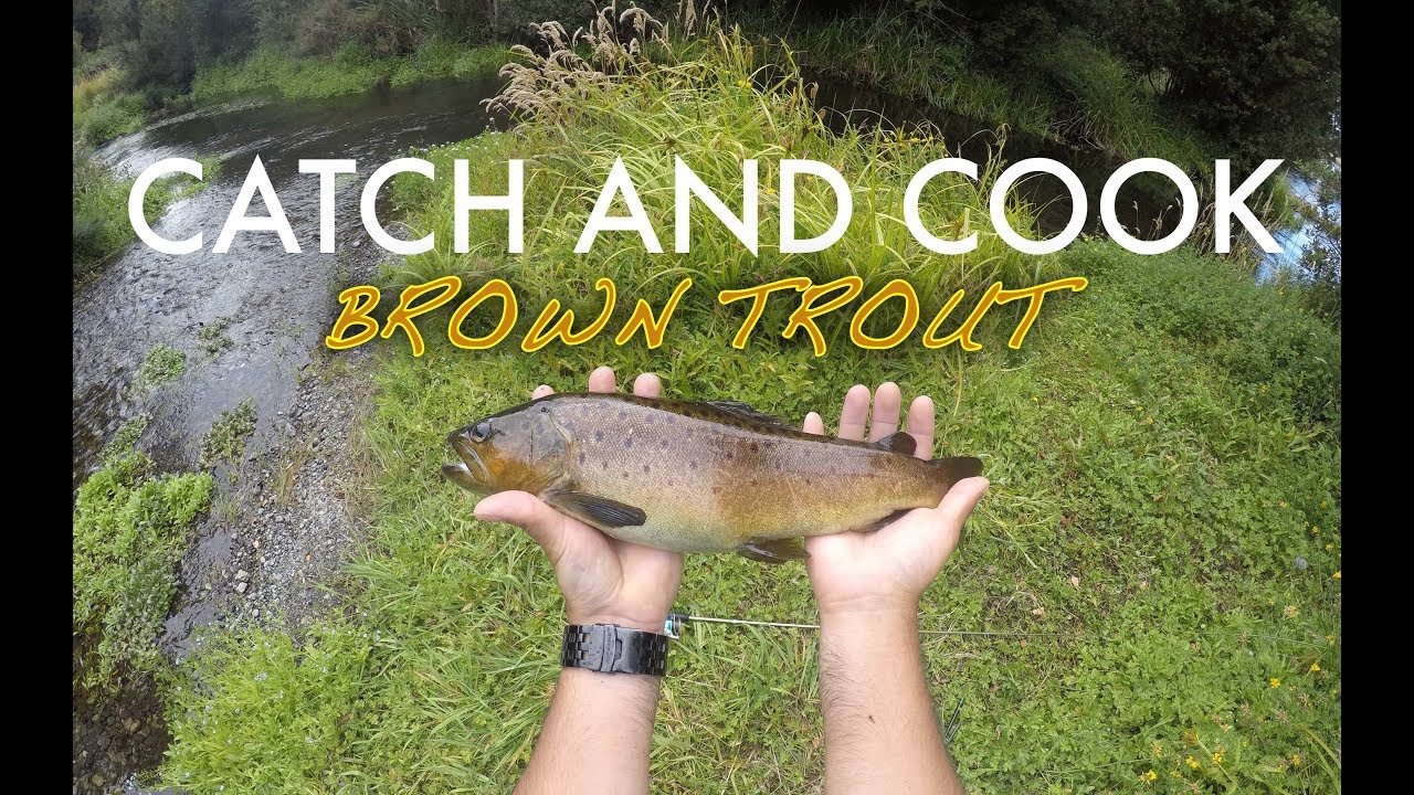 Brown trout catch and cook Rio Maullin, Chile 