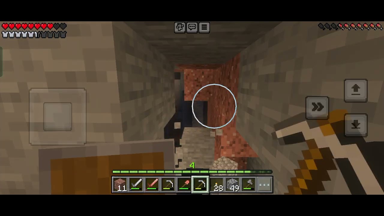 Cookie makes a farm room and the mines and armor room