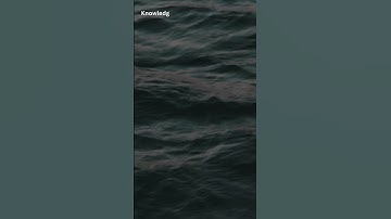 QA JOB OPENINGS FOR MANUAL TESTING #manualtesting #selenium #viral #automation #ytshorts #qa #yt