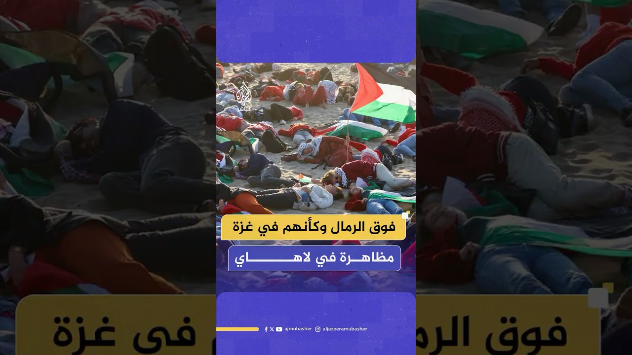مظاهرة في لاهاي رفضا للحرب على قطاع غزة وللمطالبة بإدخال المساعدات إلى أهالي القطاع
