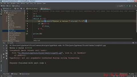 Day 34: While loop flag variables for class XI Computer Science and Informatics Practices.