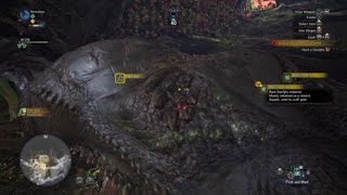 First Deviljho hunt yes sirrrr