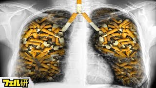 【衝撃】禁煙した瞬間から体に起こること