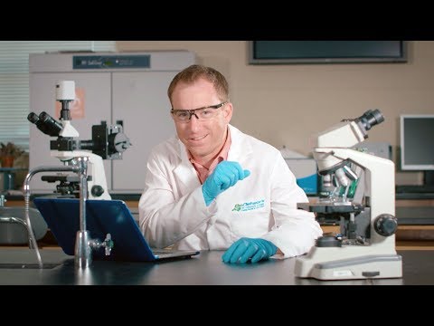 Video: Hur Man Tittar Genom Ett Mikroskop