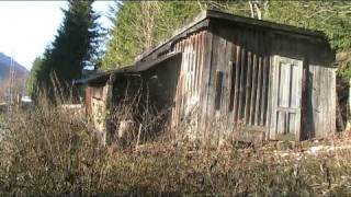 Truthahn-Schlachten.mpg