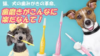 ペットの口腔内の特性を考慮して作られたペット専用歯ブラシ「ONE HEALTH」