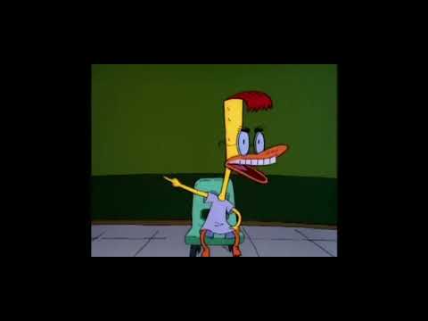 Duckmans rant about life