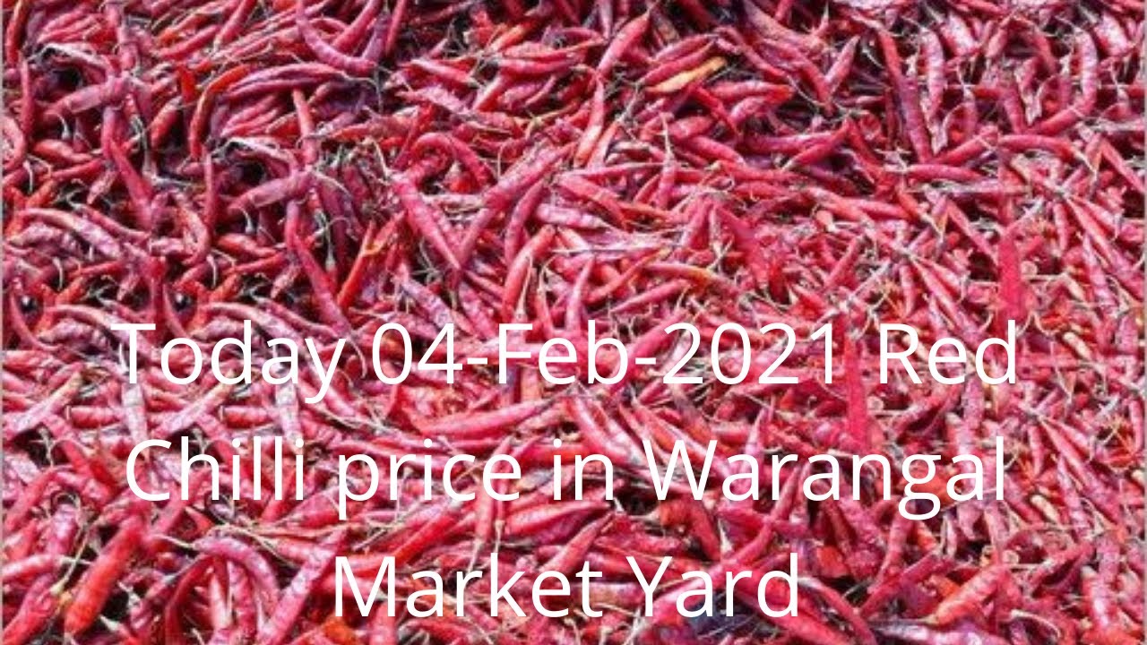 Today 04Feb2021 Warangal Mirchi market Red chilli price YouTube
