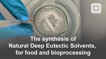 The synthesis of Natural Deep Eutectic Solvents, for food and bioprocessing - Bachelor