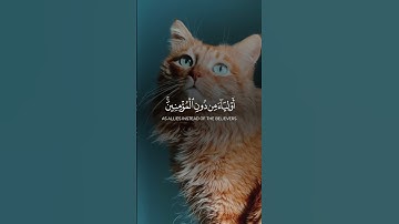 "إذا راه قلبك مهموم… اسمع هذي التلاوة ترتاح ديريكت #اكسبلور #المصحف #لايك #حالات_واتس