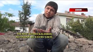 Evi Yandı Ama O Ölen Kedisine Ağladı.