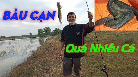 Lure cá lóc Bàu Cạn cùng thằng bạn | Dựt cá Cháy Lông Nách | Quang Hưng Vlog