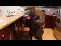 Beginning of video