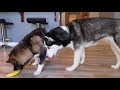End of video