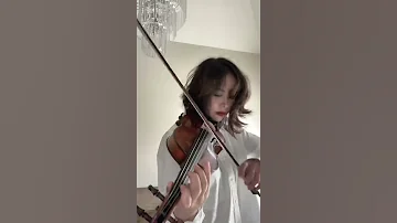 Shinunoga Ewa Violin 