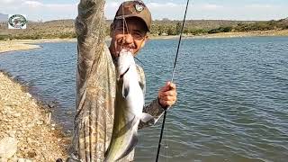 Pesca con vara y línea de mano diferentes lugares y saludos