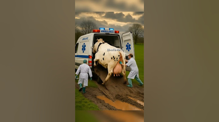 heavy pregnant cow stuck into mud saved by brave doctors #cow #animals #pets #rescuecow #humanity