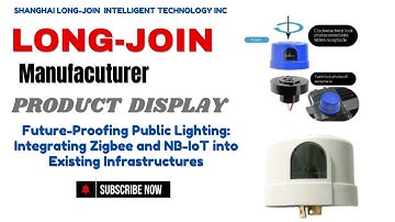 Future-Proofing Public Lighting: Integrating Zigbee and NB-IoT into Existing Infrastructures