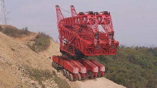 Crane Of The Day Episode 118 | QLY1560