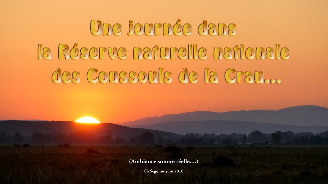 Une journée dans les Coussouls de la Crau...