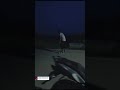 skating #shorts#Inline skating #india#habra#shorts#Evening Time#shorts