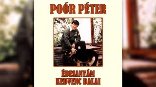 Poór Péter - Homokóra