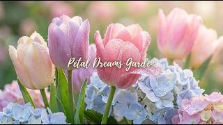 Taman Flora 🌸🌷✨ piano waltz lembut untuk belajar, membaca & kerja kreatif screenshot 1