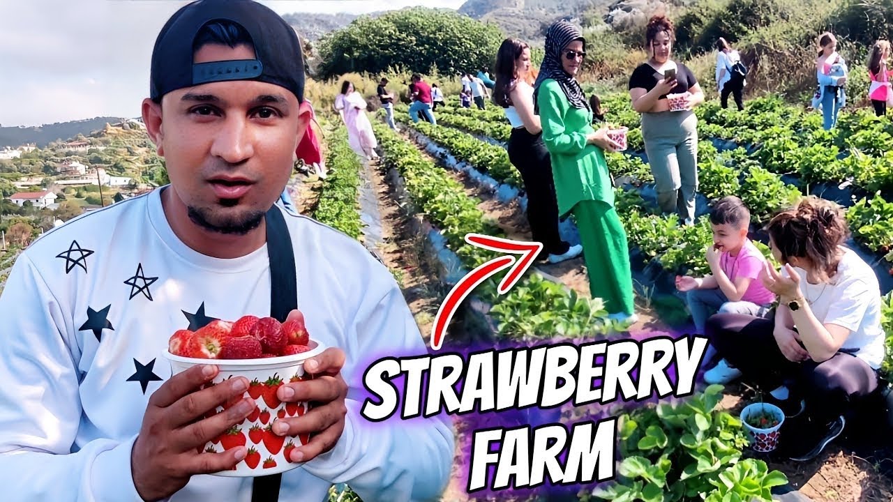 Cyprus 🇨🇾 Free Strawberry Farm 😍 || Secret Beautifull Location of Cyprus🌊