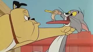 Tom And Jerry Much Ado About Mousing
