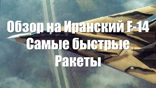 картинка: Иранский F-14 IRIAF. Самые быстрые ракеты в War Thunder