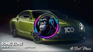 Sonic Zone - Borix M
