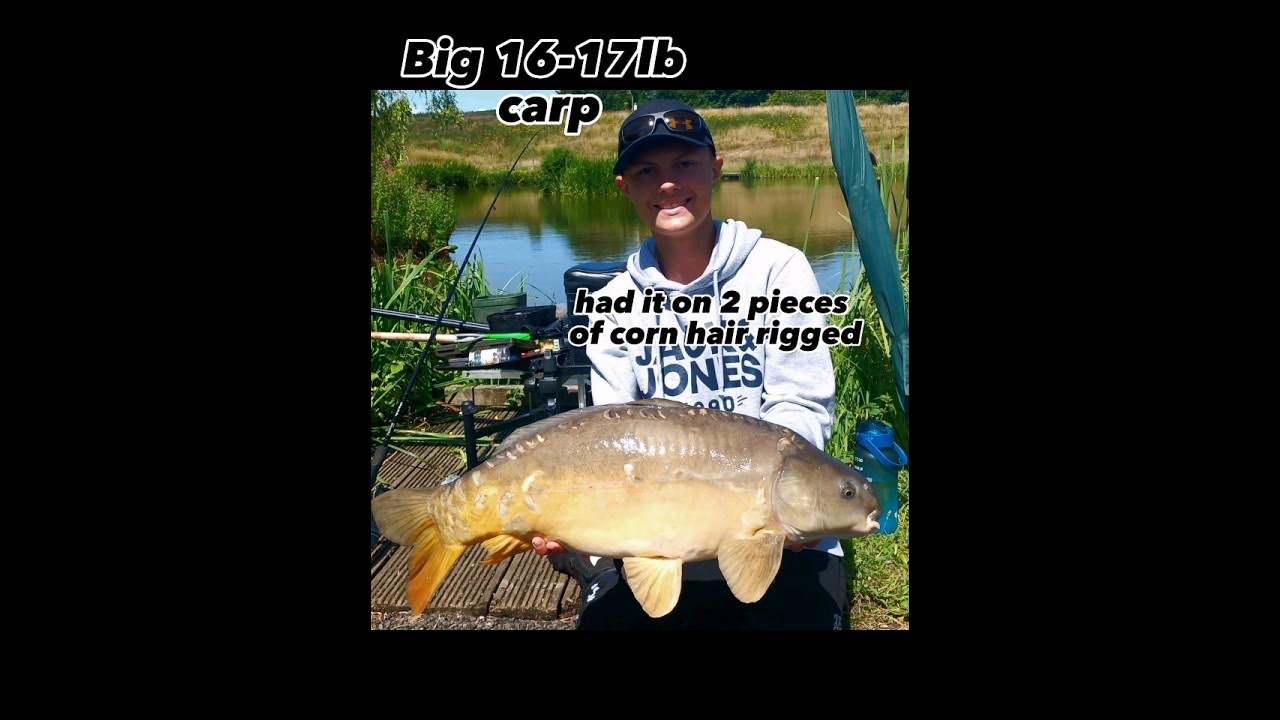 fishing house pool at alvechurch fisheries matchfishing carp fish 