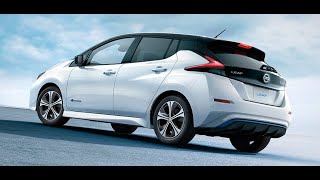 NISSAN LEAF ZE1 c  24квт батареей. Франкенштейн!  И такое бывает. Привет из Америки !