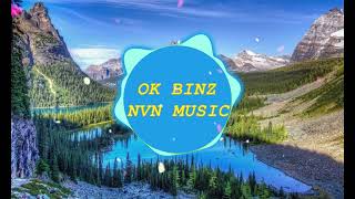 OK BINZ | VINAHOUSE | NVN MUSIC
