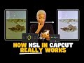 HSL CAPCUT VIDEO EDITING tutorial - How HSL in Capcut works for COLOR CORRECTION.