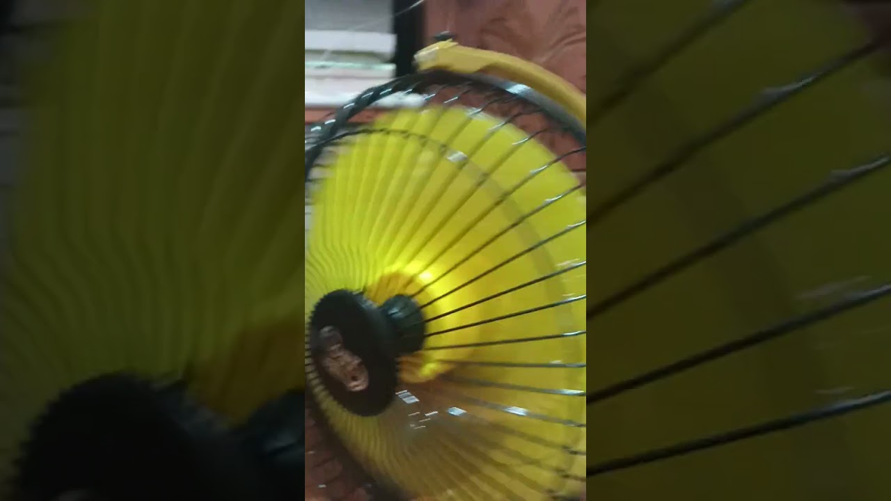 Sony hispreed fan 2025 