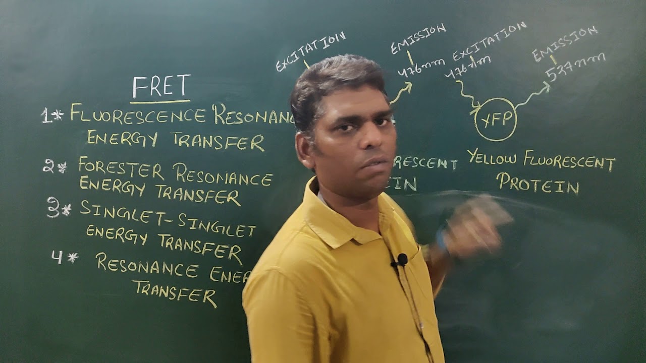 FRET (Fluorescence Resonance Energy Transfer) - YouTube