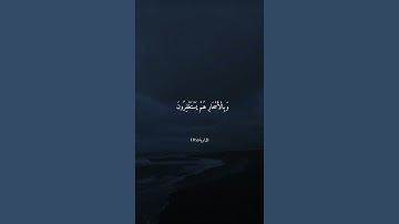 ﴿ كَانُوا قَلِيلًا مِّنَ اللَّيْلِ مَا يَهْجَعُونَ﴾[ الذاريات: 17] القارئ عبد الباسط