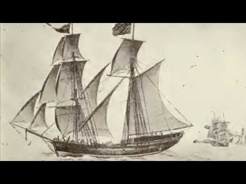 Wellerman || Alan Becker AvM || inspired by the latest short: A Sea Shanty