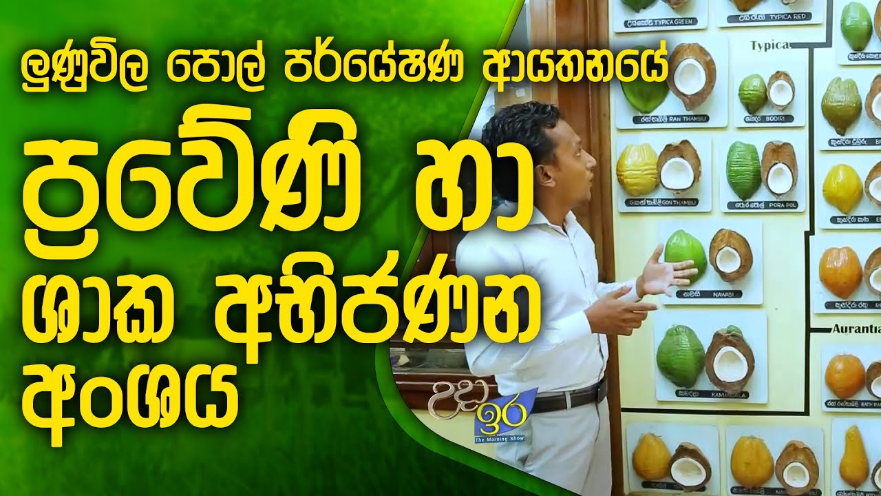 Genetics and Plant Breeding Div. of Lunuvila Coconut Research Institute  | MaaBima